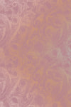 Aurora design dusty pink wallpaper full view by GvE&Co (Georgina von Etzdorf)